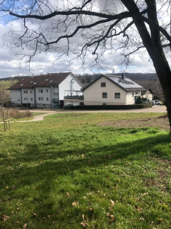 Leere Wiese in Stetten, wo der Miniwald entstehen sollte.