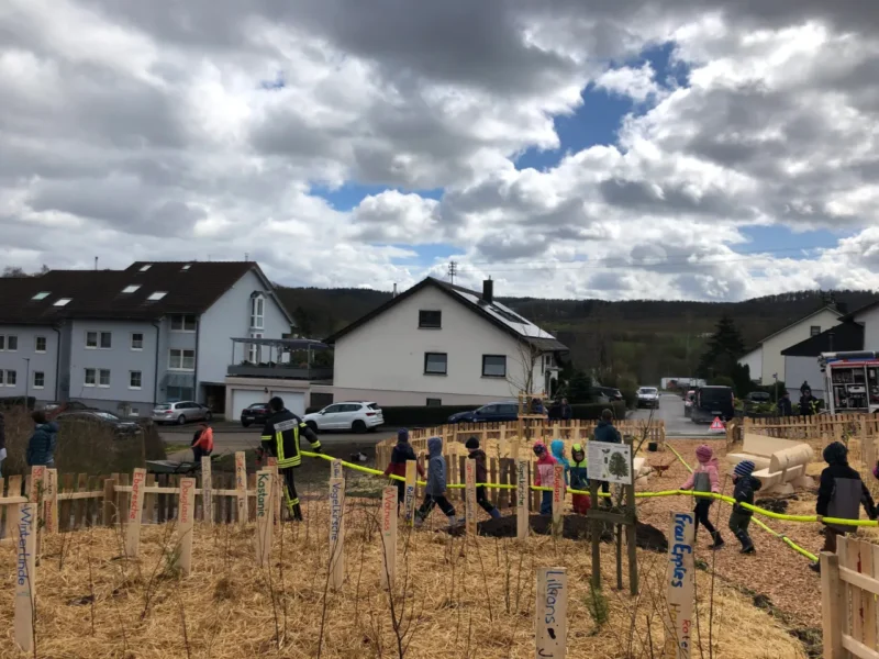 Panoramablick Stetten und der neu angelegte Miniwald im Vordergrund